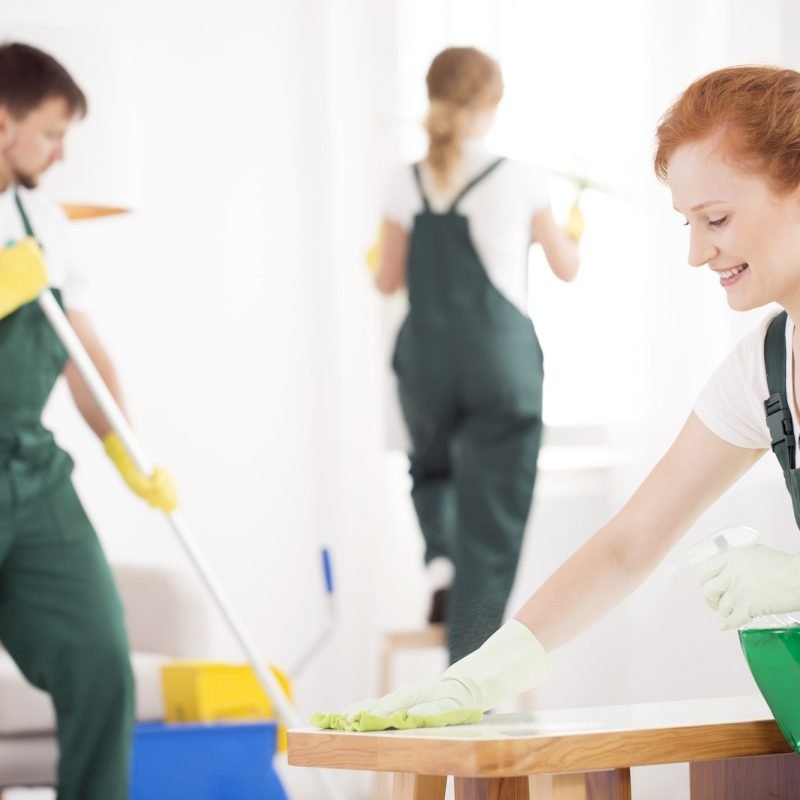 cleaning service during work 1 cleaning service during work 1