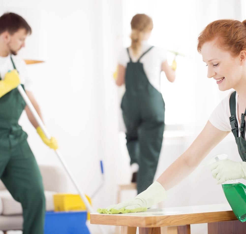 cleaning service during work 1 cleaning service during work 1